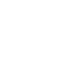 An Icon of Raja Rani